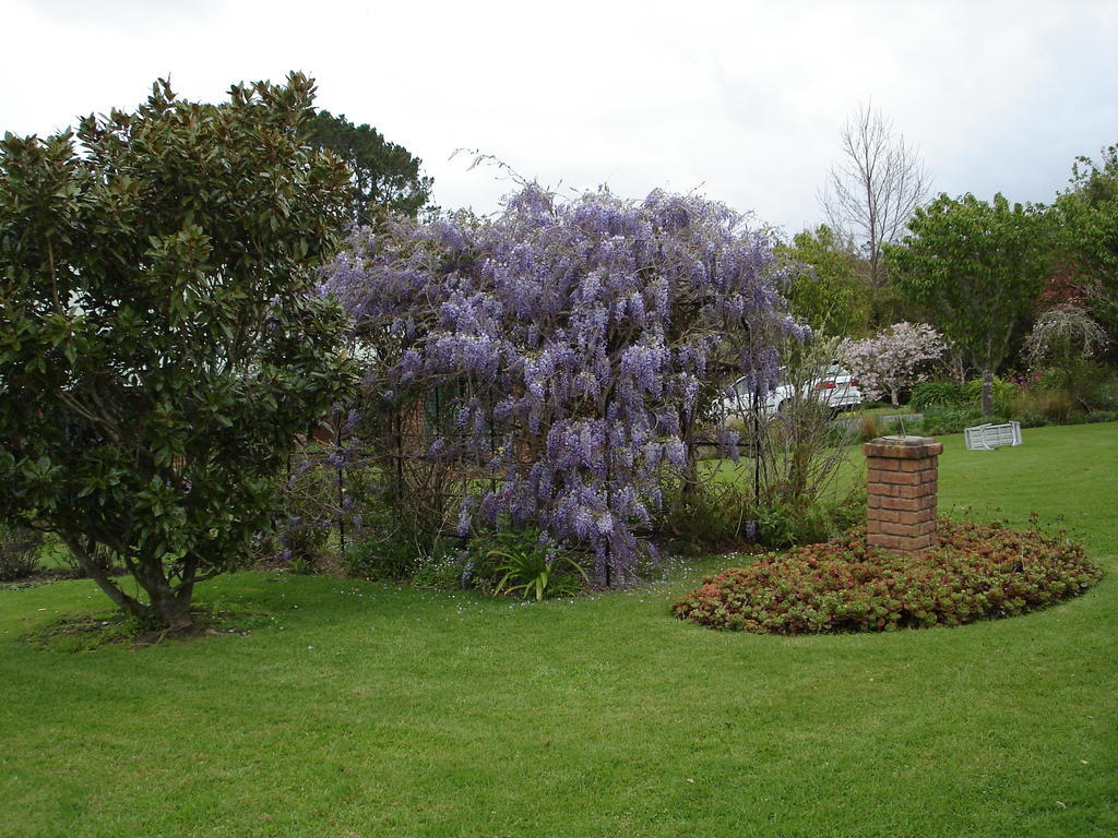 Warkworth Country House Екстер'єр фото